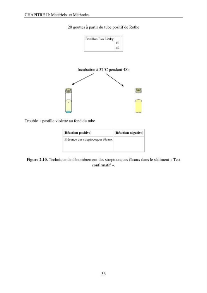 Etude d\'impact sur l\'environnement de l\'extention de terre-plein du port de Bejaia