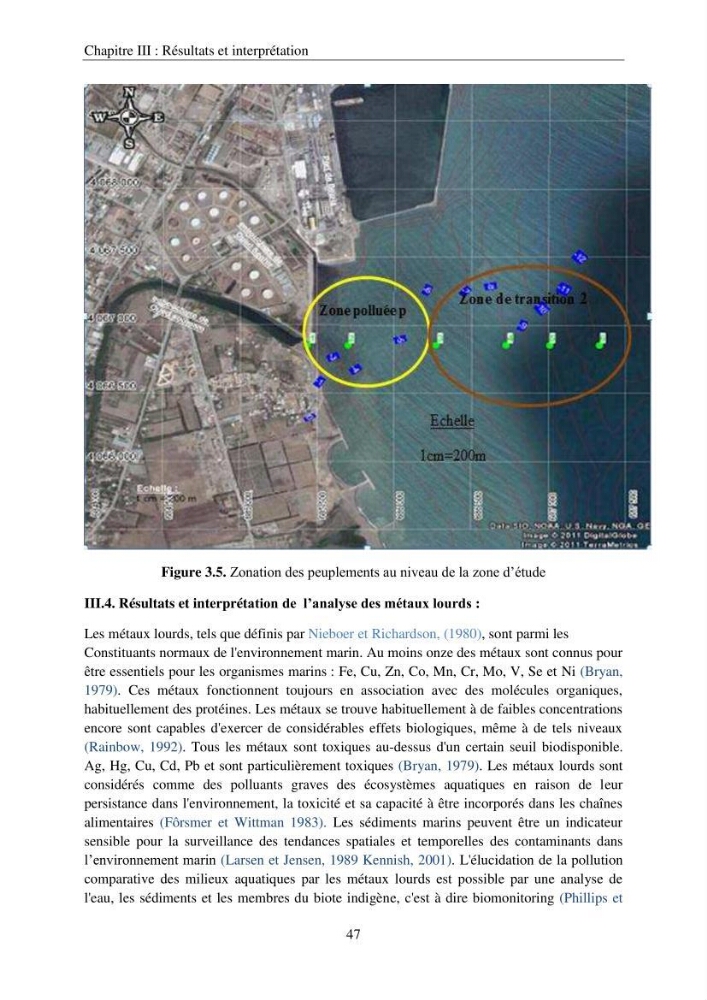 Etude d\'impact sur l\'environnement de l\'extention de terre-plein du port de Bejaia