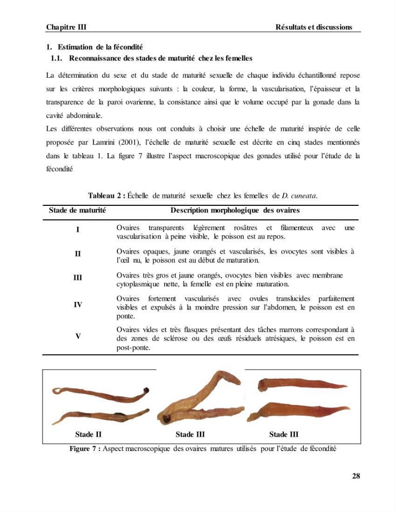 Contribution à l\'étude de l\'âge, de la croissance et estimation de la fécondité du cètea Dicologlossa cuneata (Moreau, 1881) des côtes Algériennes: