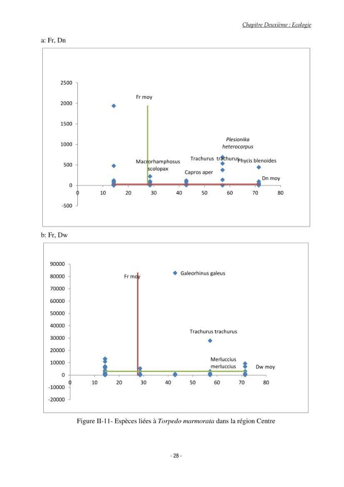 Contribution à l\'étude du comportement de Torpedo marmorata (poissons Elasmobranche) dans le bassin algérien