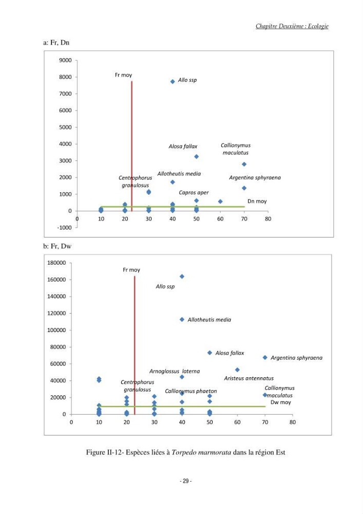 Contribution à l\'étude du comportement de Torpedo marmorata (poissons Elasmobranche) dans le bassin algérien