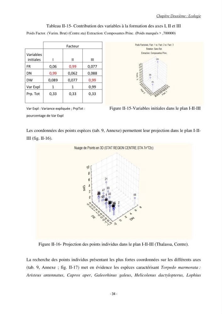 Contribution à l\'étude du comportement de Torpedo marmorata (poissons Elasmobranche) dans le bassin algérien