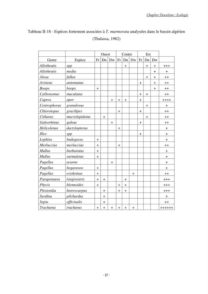 Contribution à l\'étude du comportement de Torpedo marmorata (poissons Elasmobranche) dans le bassin algérien