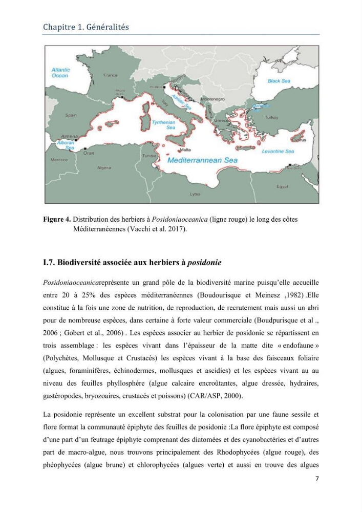 Contribution à l’étude de la biodiversité faunistique associée à l’écosystème à Posidoniaoceanica
