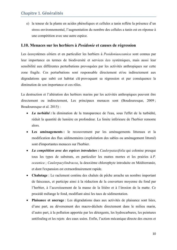 Contribution à l’étude de la biodiversité faunistique associée à l’écosystème à Posidoniaoceanica