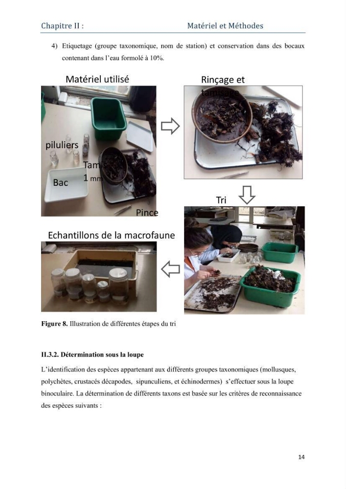 Contribution à l’étude de la biodiversité faunistique associée à l’écosystème à Posidoniaoceanica