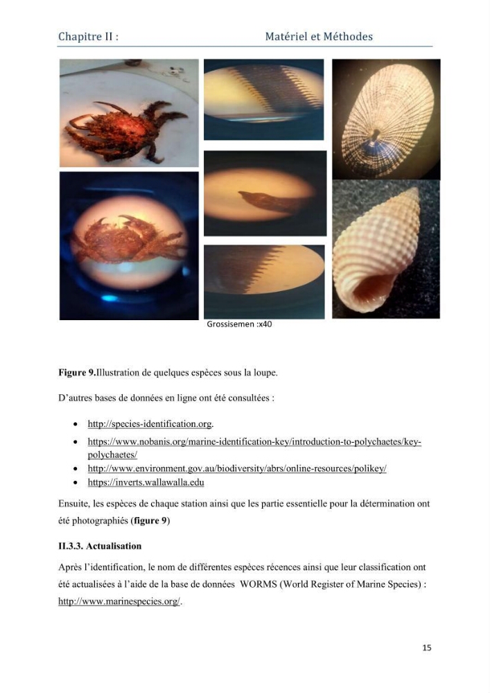 Contribution à l’étude de la biodiversité faunistique associée à l’écosystème à Posidoniaoceanica