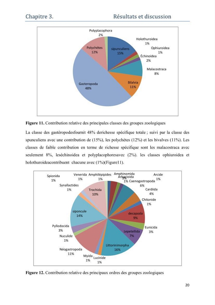 Contribution à l’étude de la biodiversité faunistique associée à l’écosystème à Posidoniaoceanica