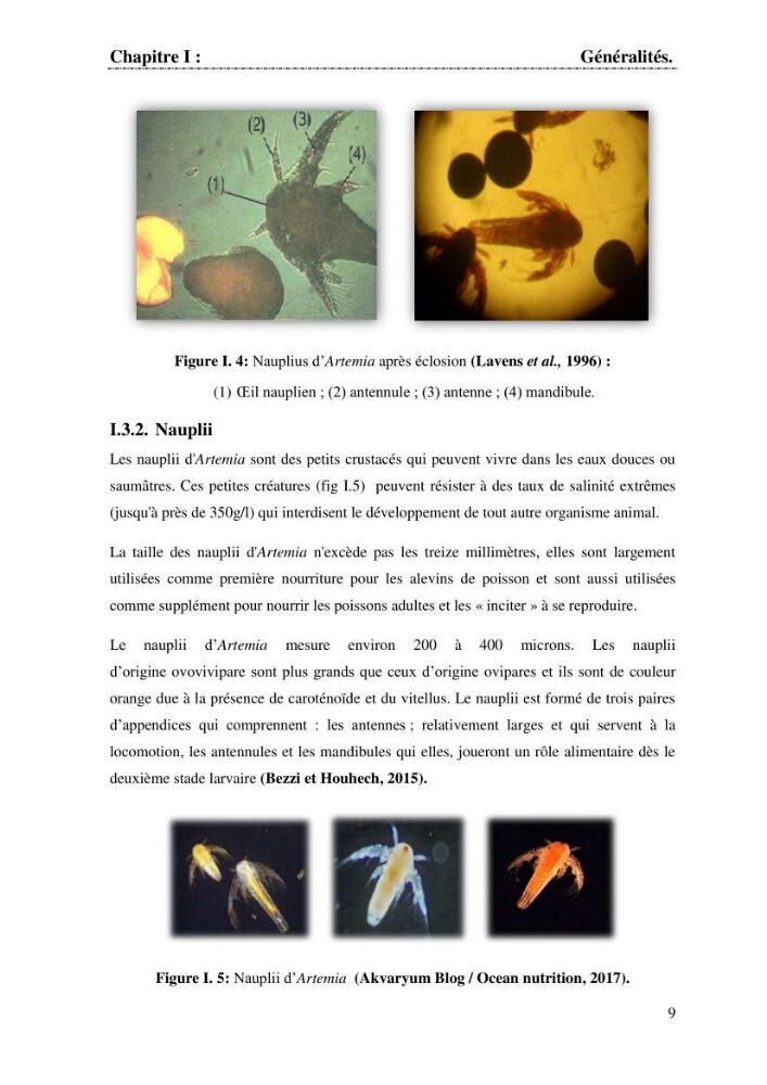 Determination d\'une partie de la flore bactérienne associee aux cystes d\'ARTEMIA (Leach 1819)