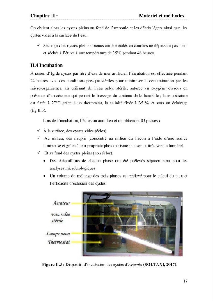 Determination d\'une partie de la flore bactérienne associee aux cystes d\'ARTEMIA (Leach 1819)