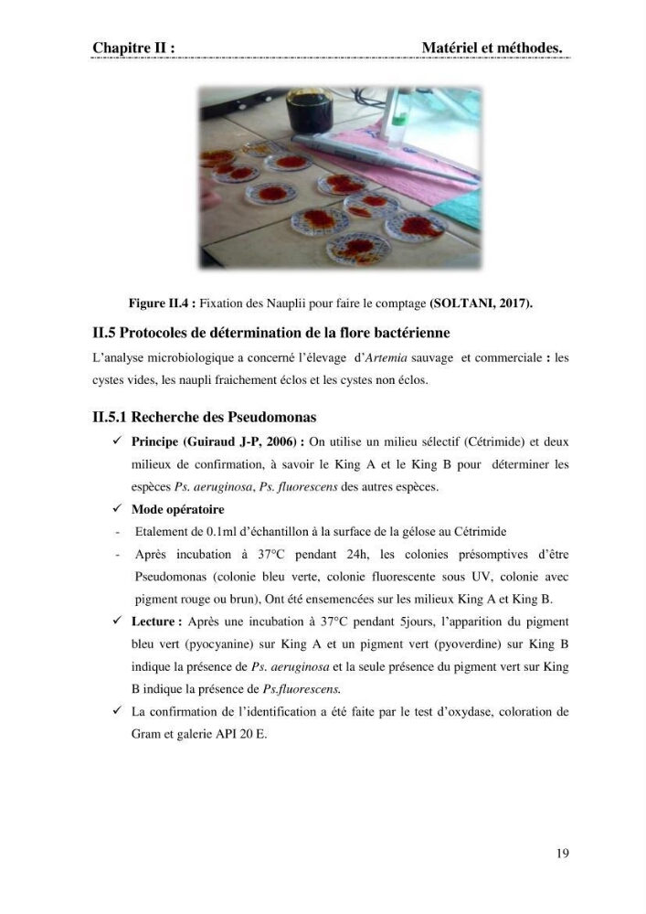 Determination d\'une partie de la flore bactérienne associee aux cystes d\'ARTEMIA (Leach 1819)