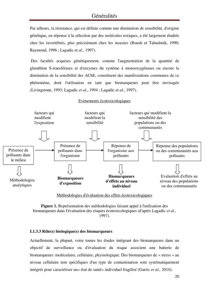 Impact de l’élévation de niveau de la mer et des tempêtes sur l’évolution morpho dynamique de la région Est de la baie d’Alger : simulation numérique des processus hydro-sédimentaires.: