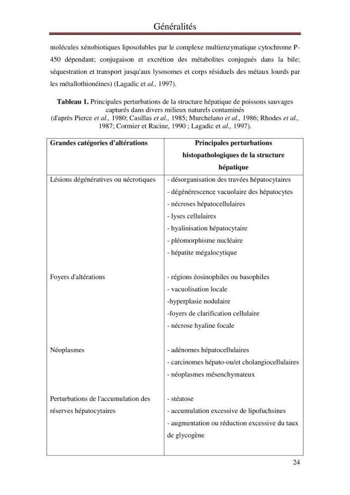 Impact de l’élévation de niveau de la mer et des tempêtes sur l’évolution morpho dynamique de la région Est de la baie d’Alger : simulation numérique des processus hydro-sédimentaires.: