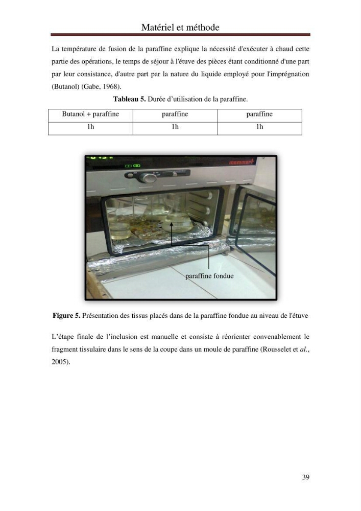 Impact de l’élévation de niveau de la mer et des tempêtes sur l’évolution morpho dynamique de la région Est de la baie d’Alger : simulation numérique des processus hydro-sédimentaires.: