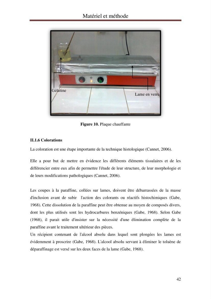 Impact de l’élévation de niveau de la mer et des tempêtes sur l’évolution morpho dynamique de la région Est de la baie d’Alger : simulation numérique des processus hydro-sédimentaires.: