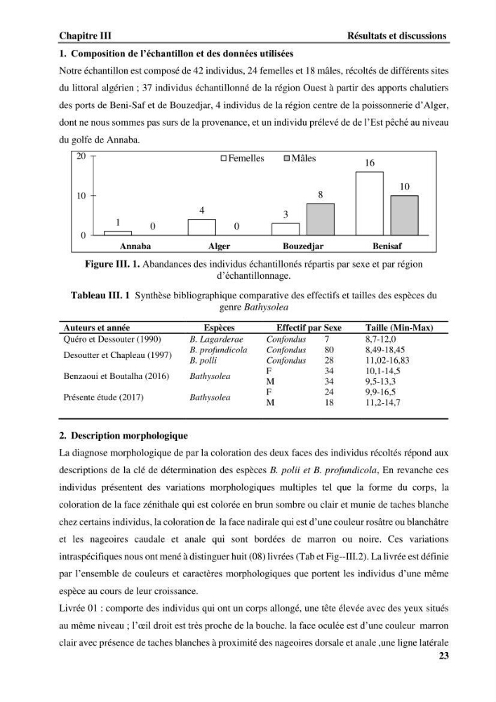 Contribution à l\'étude systématique du genre Bathysolea Roule,1916 (Pleuronnectiformes, Soleidae) des côtes Algeriennes
