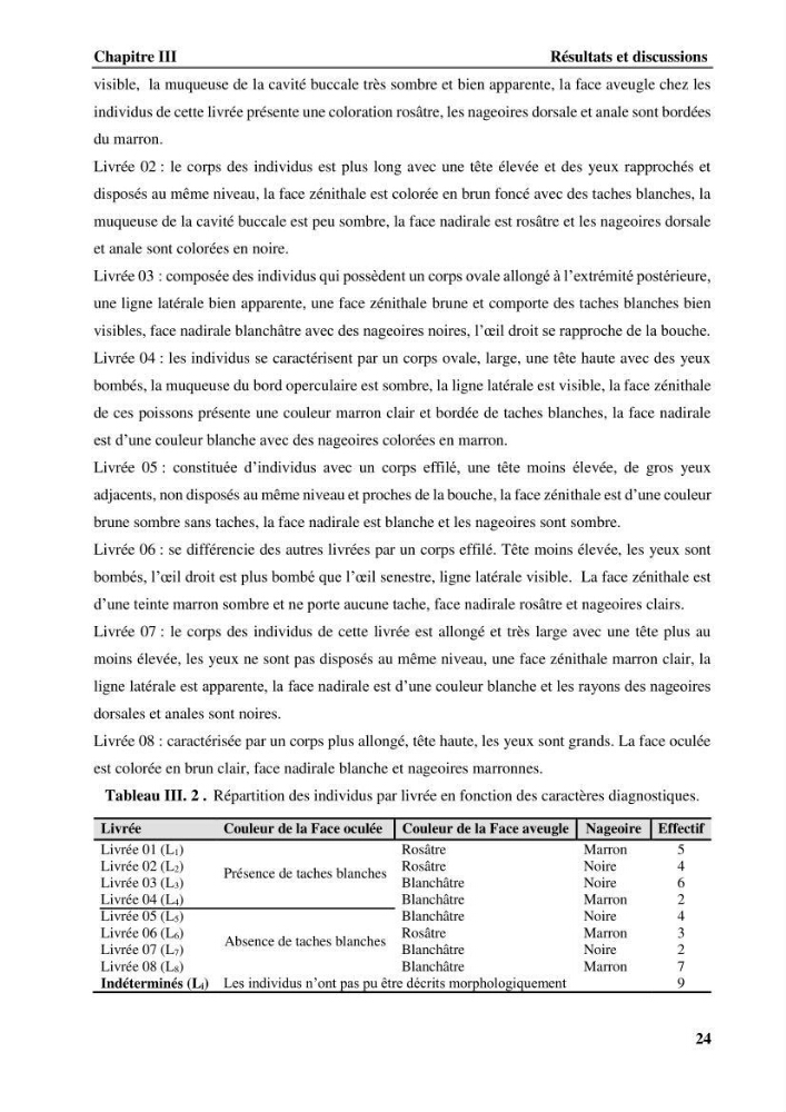 Contribution à l\'étude systématique du genre Bathysolea Roule,1916 (Pleuronnectiformes, Soleidae) des côtes Algeriennes