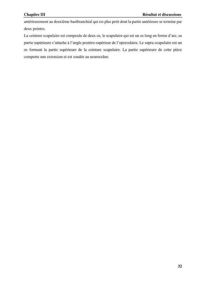 Contribution à l\'étude systématique du genre Bathysolea Roule,1916 (Pleuronnectiformes, Soleidae) des côtes Algeriennes