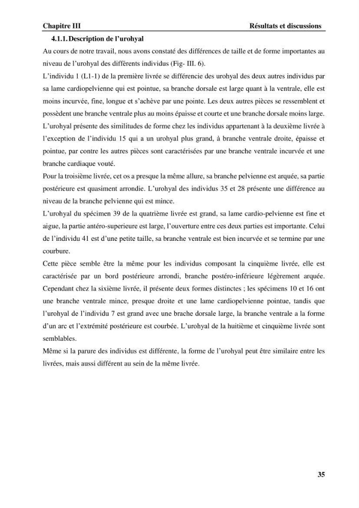 Contribution à l\'étude systématique du genre Bathysolea Roule,1916 (Pleuronnectiformes, Soleidae) des côtes Algeriennes