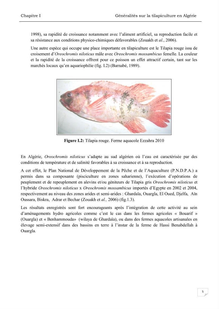 Analyse des aménagements piscicoles et de la gestion sanitaire de la ferme aquacole \"Ezzahra\":