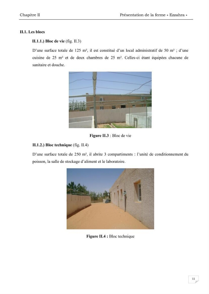 Analyse des aménagements piscicoles et de la gestion sanitaire de la ferme aquacole \"Ezzahra\":