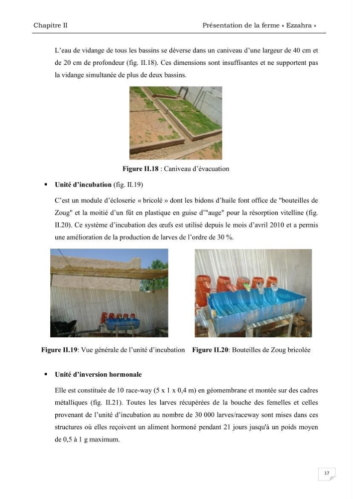Analyse des aménagements piscicoles et de la gestion sanitaire de la ferme aquacole \"Ezzahra\":