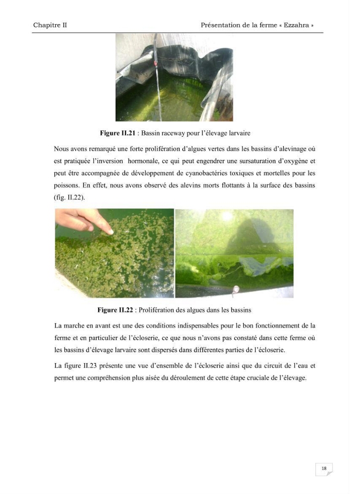 Analyse des aménagements piscicoles et de la gestion sanitaire de la ferme aquacole \"Ezzahra\":