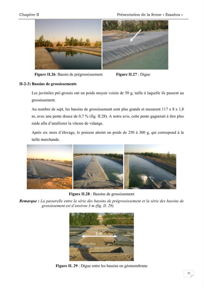 Analyse des aménagements piscicoles et de la gestion sanitaire de la ferme aquacole \"Ezzahra\":