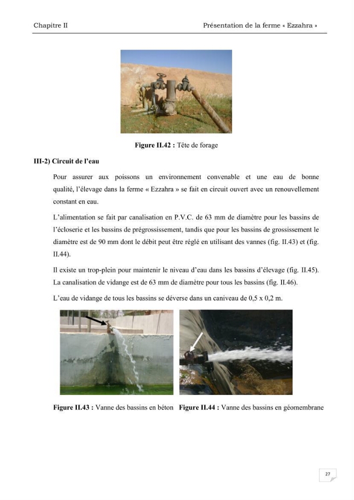 Analyse des aménagements piscicoles et de la gestion sanitaire de la ferme aquacole \"Ezzahra\":