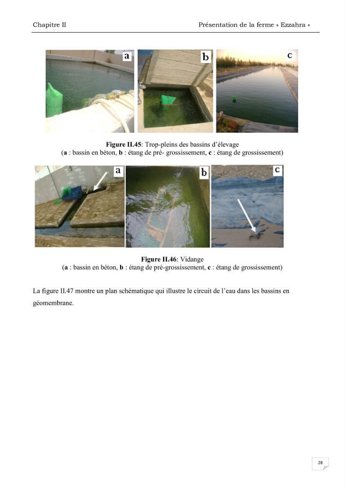 Analyse des aménagements piscicoles et de la gestion sanitaire de la ferme aquacole \"Ezzahra\":