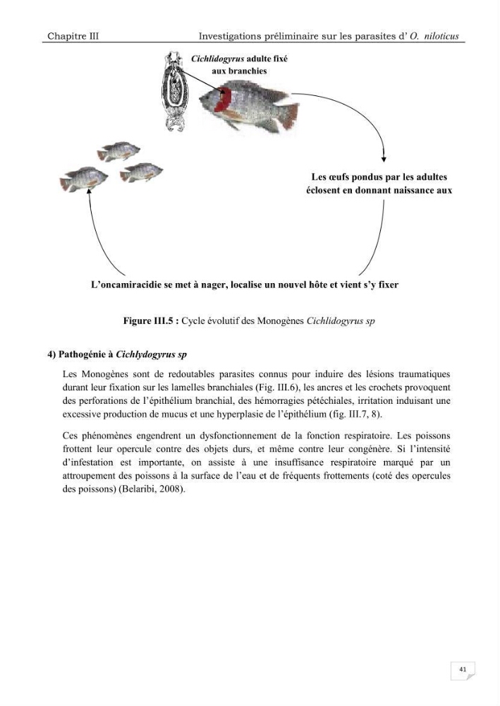 Analyse des aménagements piscicoles et de la gestion sanitaire de la ferme aquacole \"Ezzahra\":