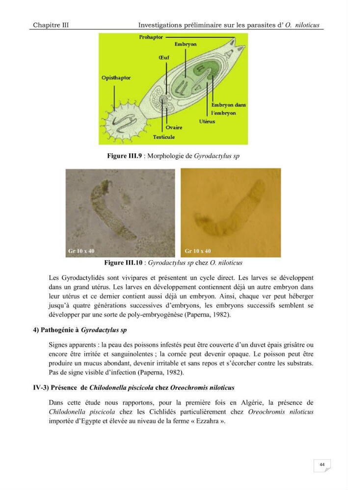Analyse des aménagements piscicoles et de la gestion sanitaire de la ferme aquacole \"Ezzahra\":