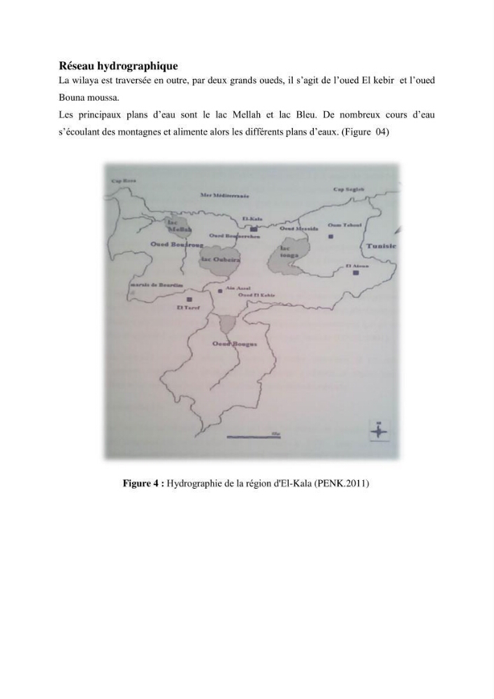 Inventaire du benthos des zones rocheuses de la région d’El Kala: prélèvements de mai 2017 et mai 2018