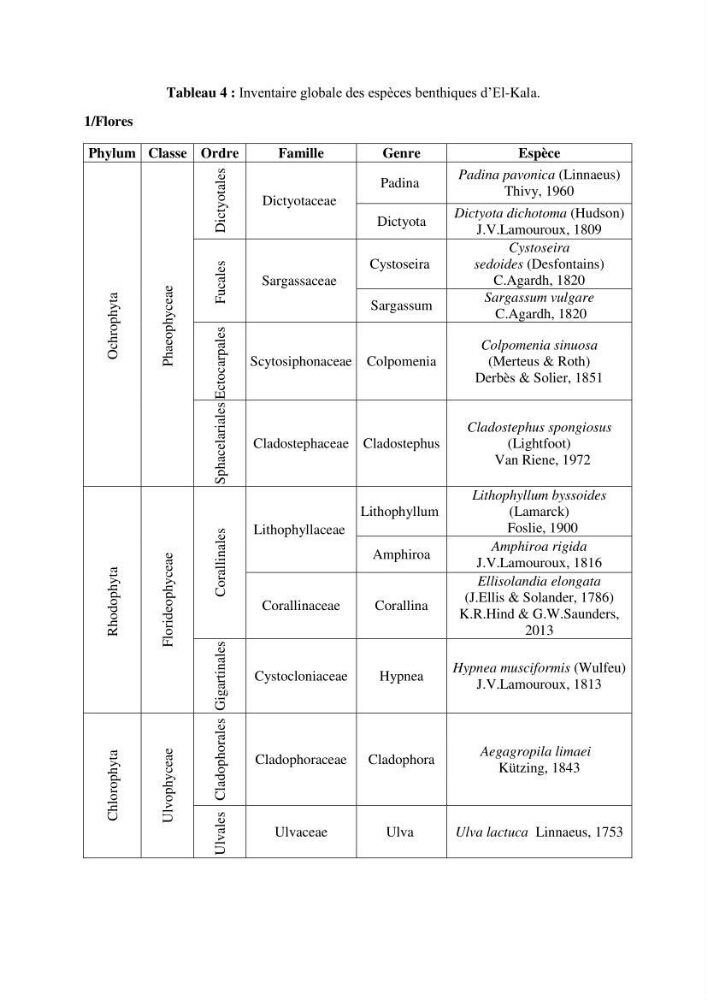 Inventaire du benthos des zones rocheuses de la région d’El Kala: prélèvements de mai 2017 et mai 2018