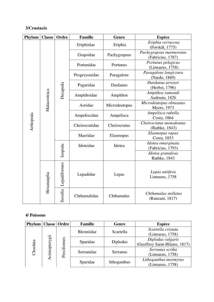 Inventaire du benthos des zones rocheuses de la région d’El Kala: prélèvements de mai 2017 et mai 2018