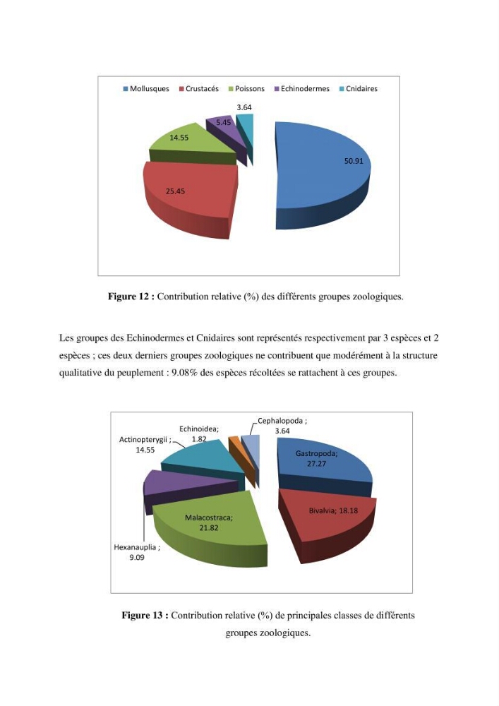 Inventaire du benthos des zones rocheuses de la région d’El Kala: prélèvements de mai 2017 et mai 2018