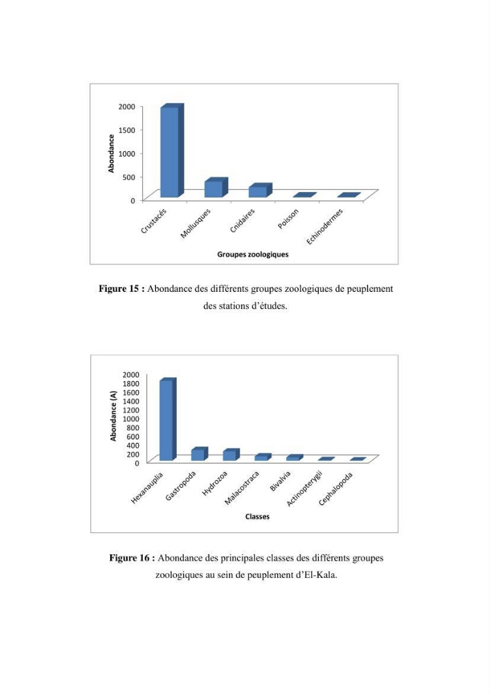 Inventaire du benthos des zones rocheuses de la région d’El Kala: prélèvements de mai 2017 et mai 2018