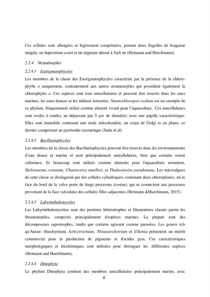 Contribution à la valorisation bioénergétique à partir des micro-organisme photosynthétiques