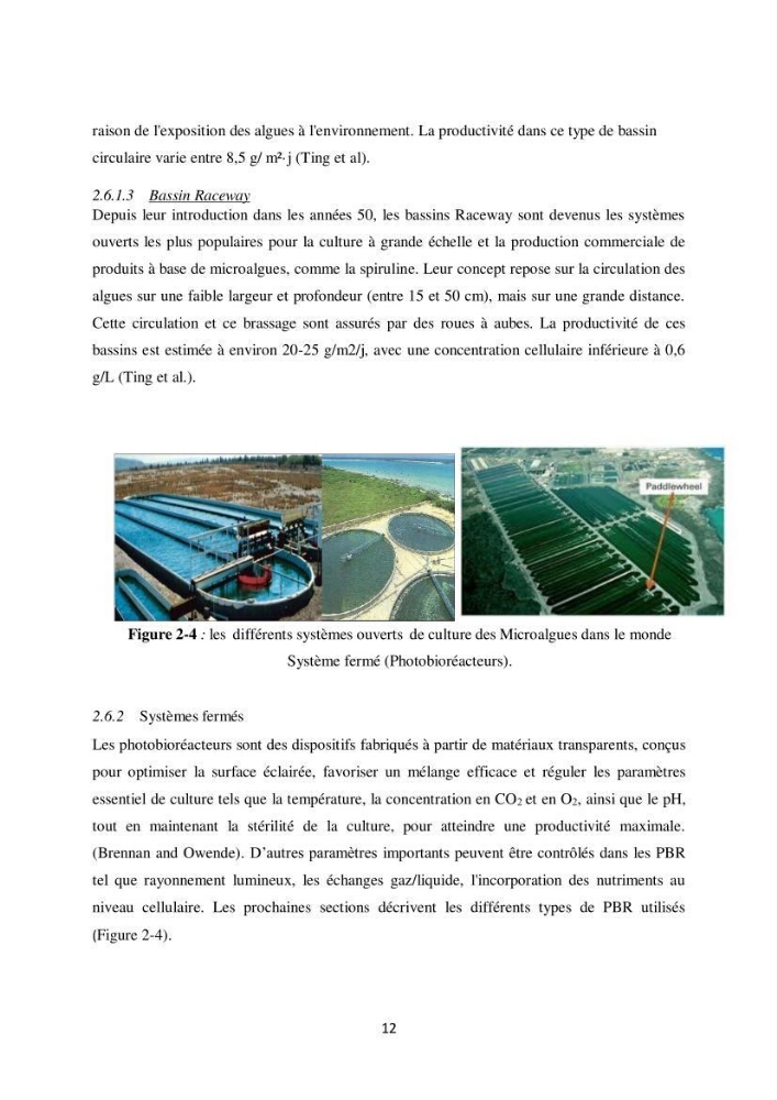 Contribution à la valorisation bioénergétique à partir des micro-organisme photosynthétiques