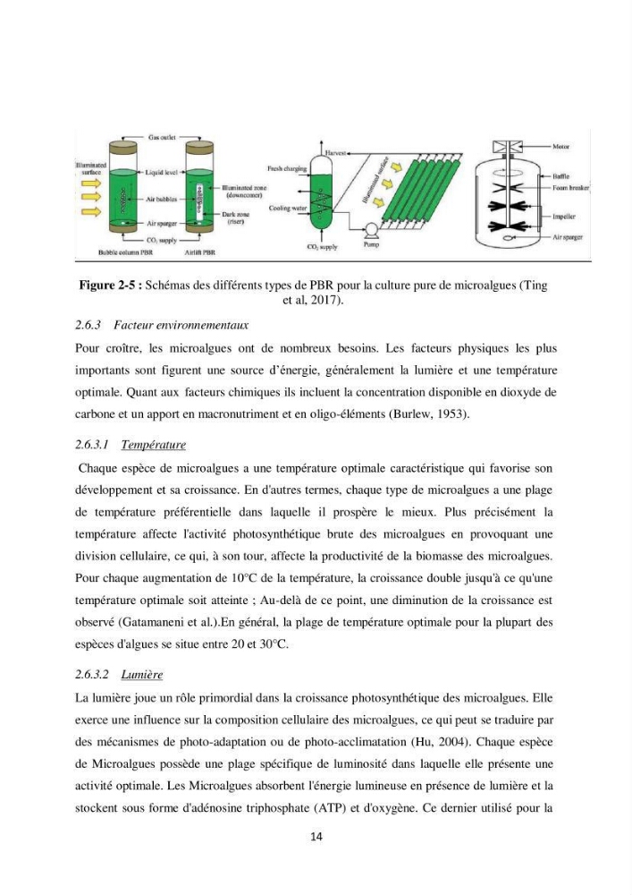 Contribution à la valorisation bioénergétique à partir des micro-organisme photosynthétiques