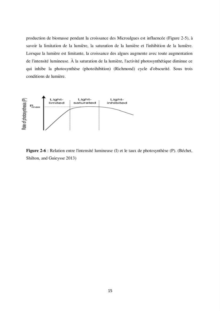 Contribution à la valorisation bioénergétique à partir des micro-organisme photosynthétiques