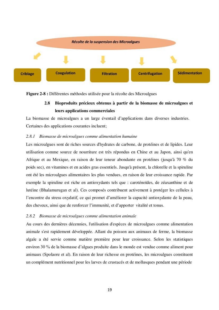Contribution à la valorisation bioénergétique à partir des micro-organisme photosynthétiques