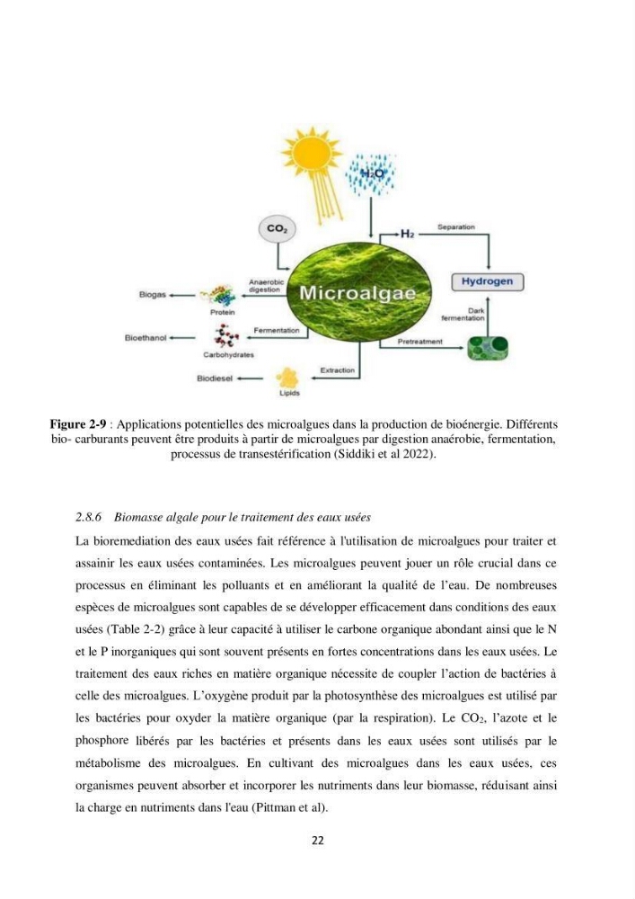 Contribution à la valorisation bioénergétique à partir des micro-organisme photosynthétiques