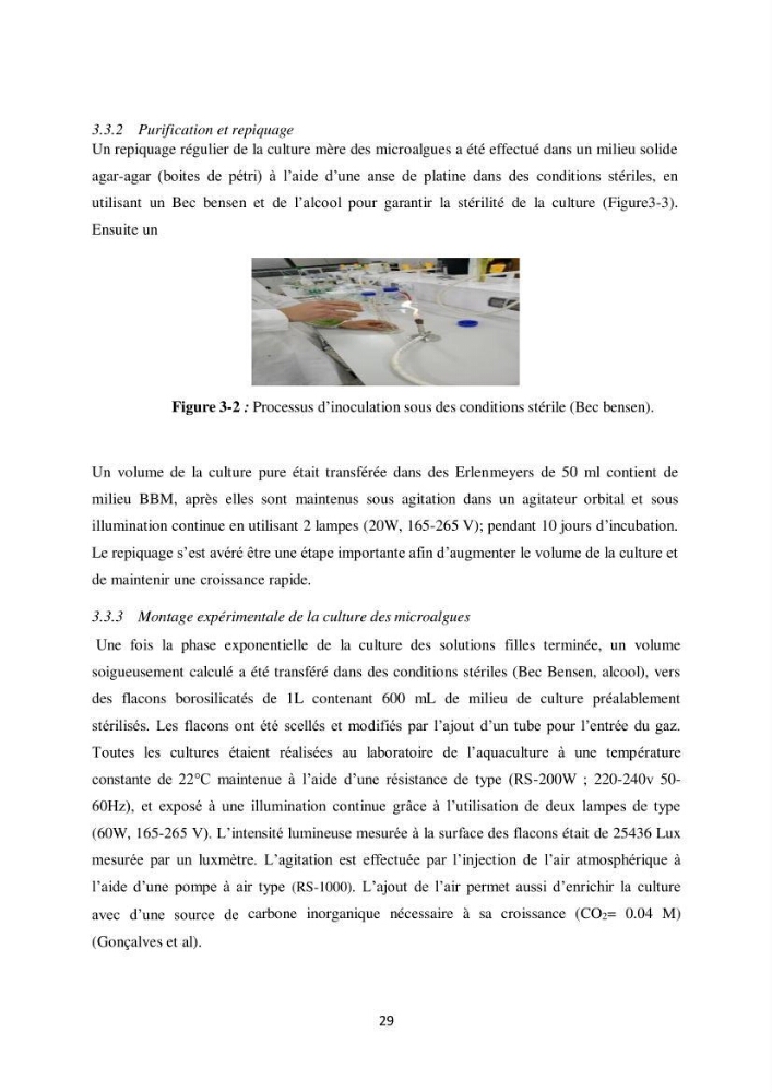 Contribution à la valorisation bioénergétique à partir des micro-organisme photosynthétiques