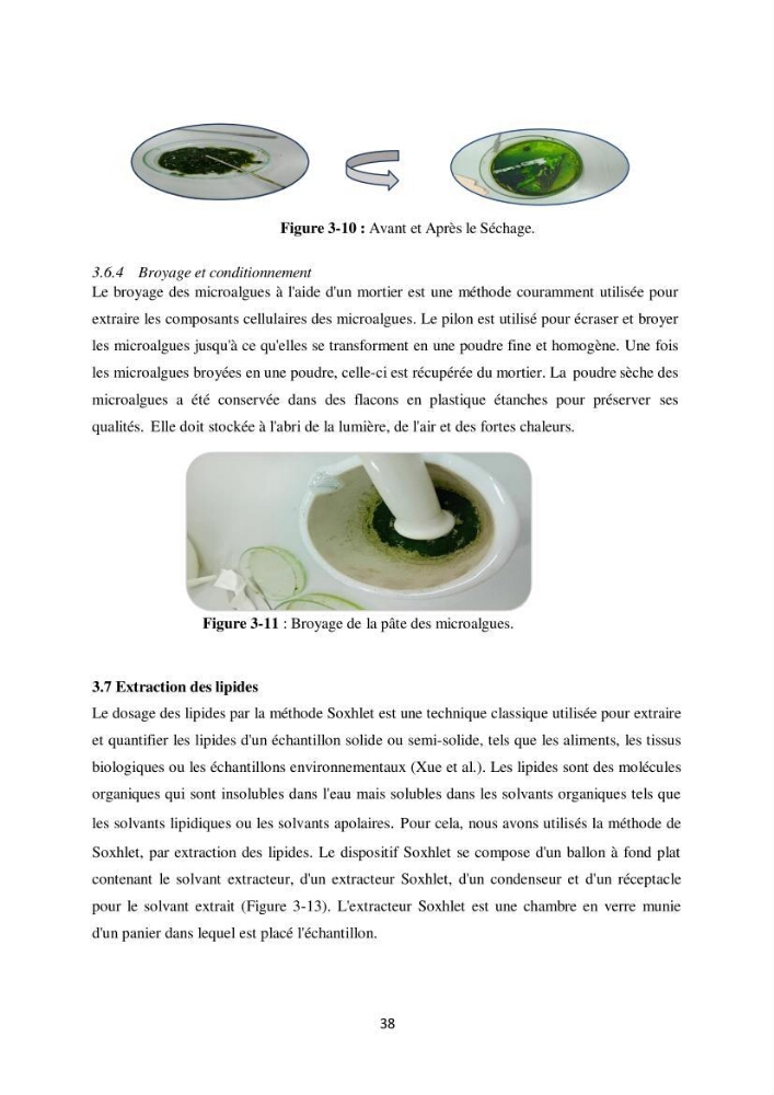 Contribution à la valorisation bioénergétique à partir des micro-organisme photosynthétiques