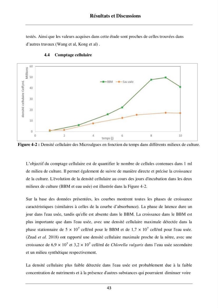 Contribution à la valorisation bioénergétique à partir des micro-organisme photosynthétiques
