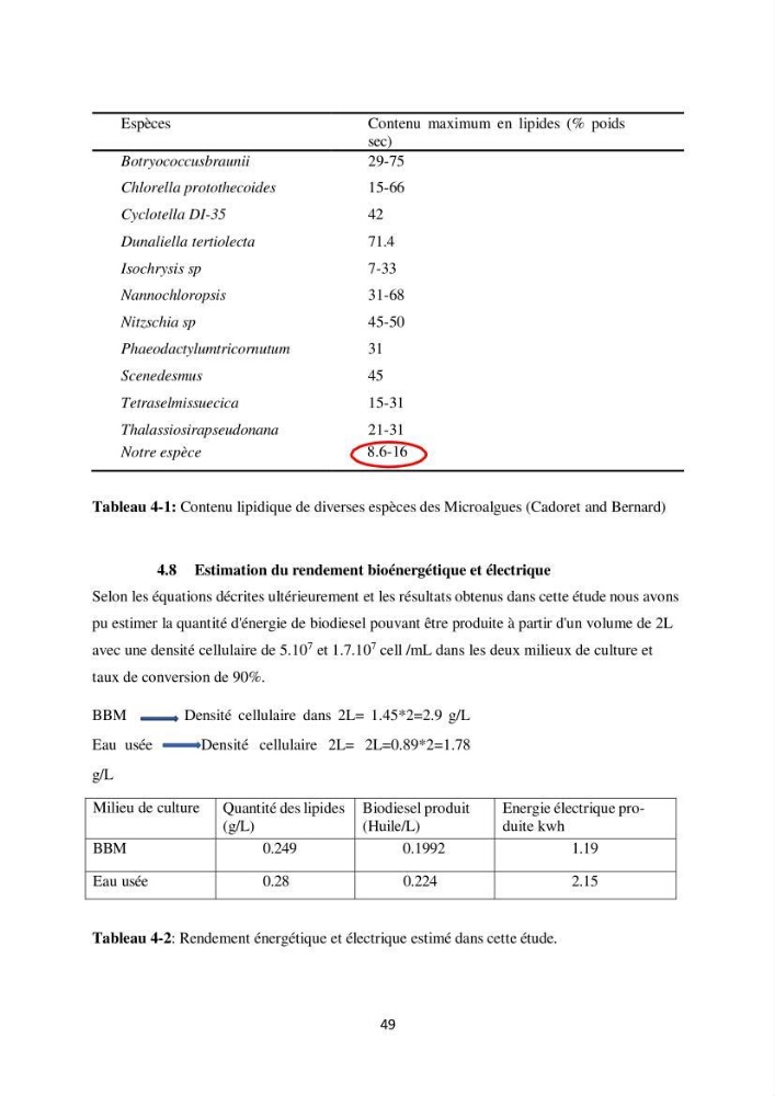 Contribution à la valorisation bioénergétique à partir des micro-organisme photosynthétiques