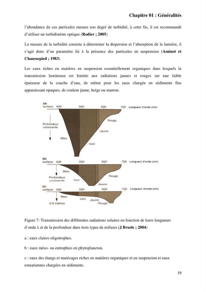 Contribution à la prévention et à la gestion des feux de forêts dans le parc national d\'El Kala (Nord Est de l\'Algérie) par télédétection et leurs incidences sur le milieu marin