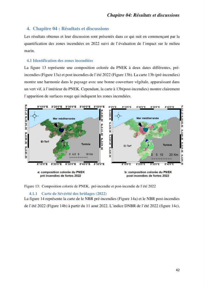 Contribution à la prévention et à la gestion des feux de forêts dans le parc national d\'El Kala (Nord Est de l\'Algérie) par télédétection et leurs incidences sur le milieu marin