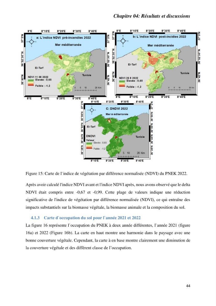 Contribution à la prévention et à la gestion des feux de forêts dans le parc national d\'El Kala (Nord Est de l\'Algérie) par télédétection et leurs incidences sur le milieu marin